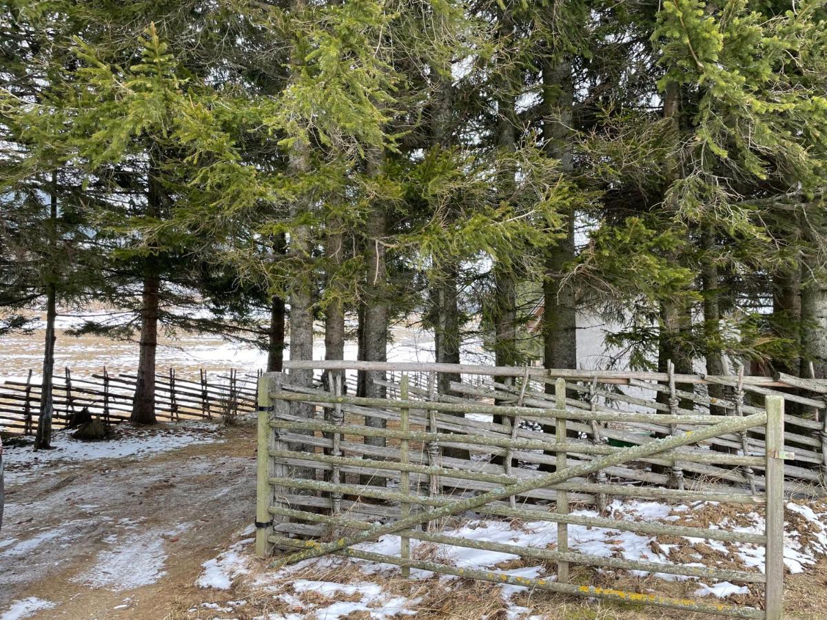 Teichalm Lodge Landhaus Fladnitz an der Teichalm Luaran gambar